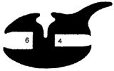 KL 0954