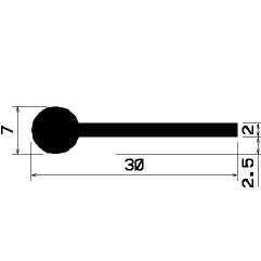 FN 1097